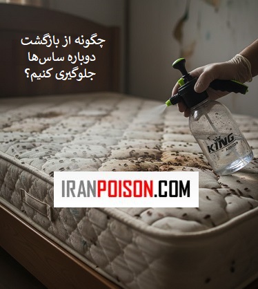 چگونه از بازگشت دوباره ساس‌ها جلوگیری کنیم؟