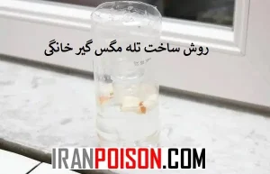 روش ساخت تله مگس گیر خانگی