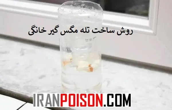 روش ساخت تله مگس گیر خانگی