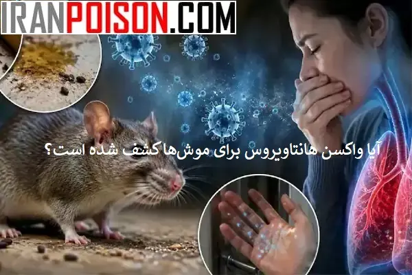 هانتاویروس دقیقاً چیست و از کجا میآید؟- ایران سم