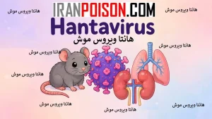 تأثیر تغییرات اقلیمی بر بیماری هانتا و نقش موشها