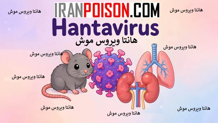 تأثیر تغییرات اقلیمی بر بیماری هانتا و نقش موشها