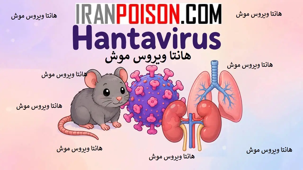 تأثیر تغییرات اقلیمی بر بیماری هانتا و نقش موش‌ها