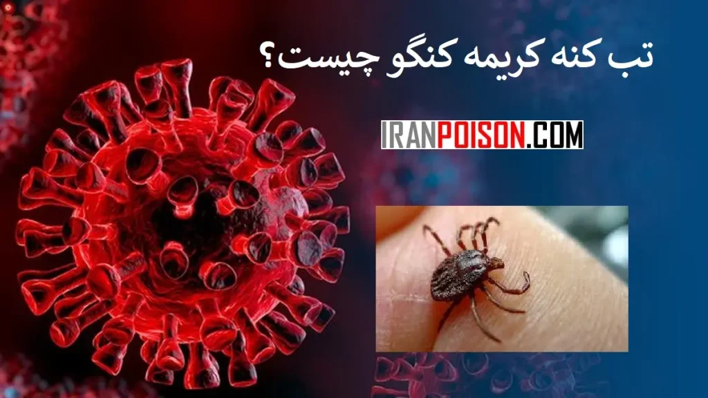 چه نشانه‌هایی را از تب کنه کریمه کنگو باید جدی گرفت؟- ایران سم