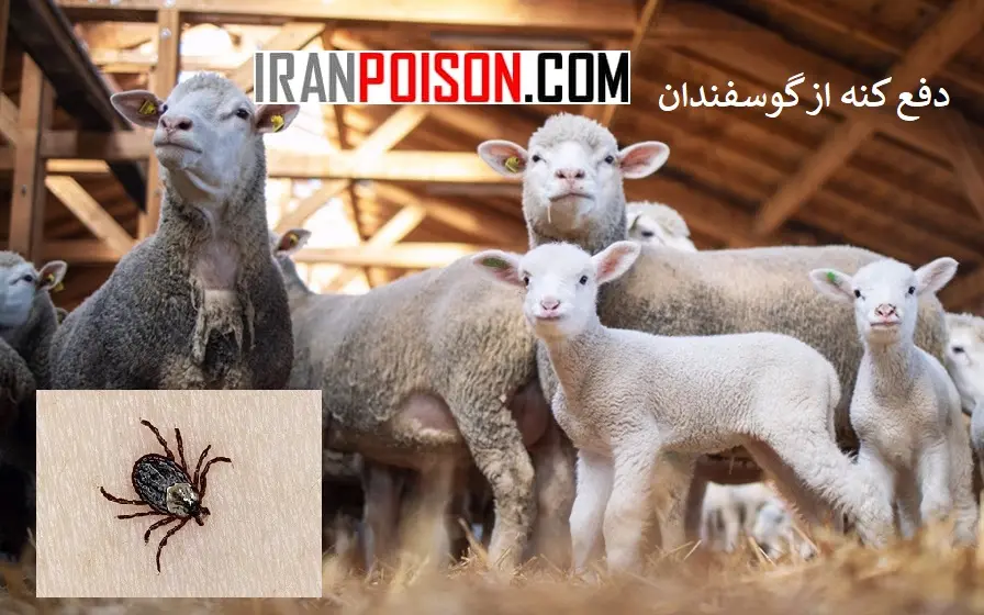 معرفی بهترین و قویترین سم کنه- ایران سم