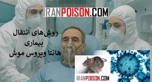 روشهای انتقال بیماری هانتا ویروس موش