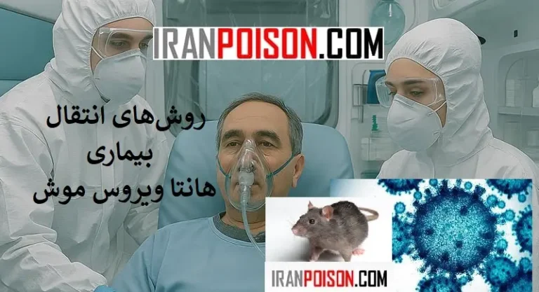 روشهای انتقال بیماری هانتا ویروس موش