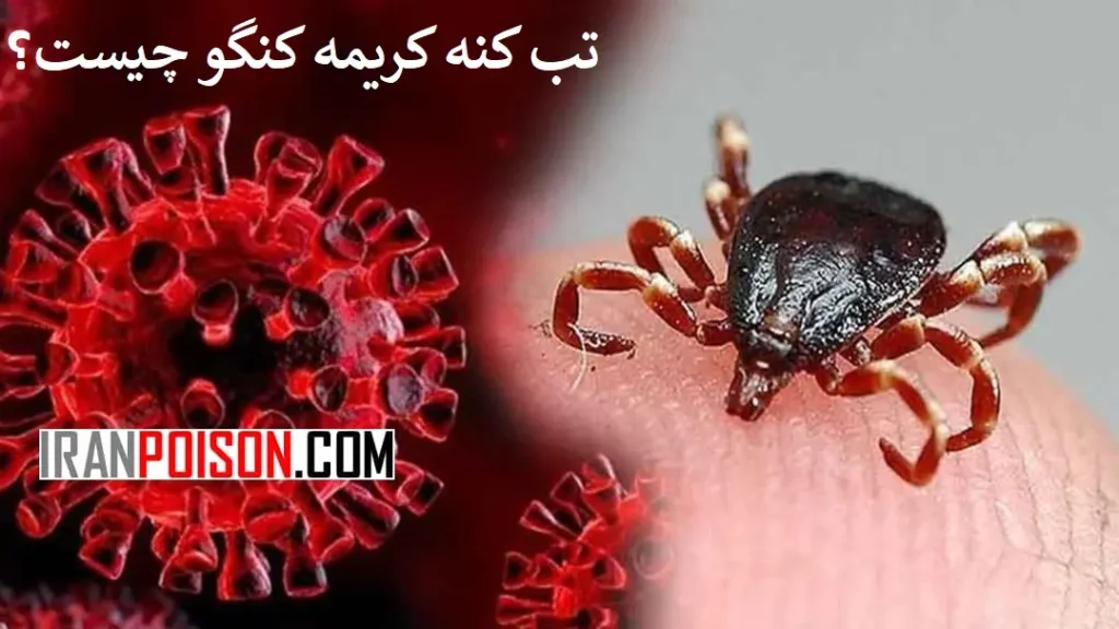 آشنایی با یک بیماری خطرناک تب کنه کریمه کنگو- ایران سم