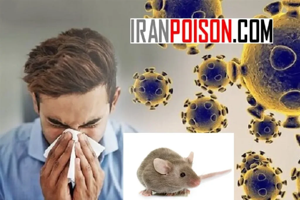 مسیر انتقال بیماری هانتا ویروس موش- ایران سم