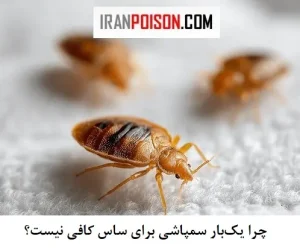 فواصل زمانی تکرار سمپاشی ساس| چرا و چه زمانی باید اقدام کنیم؟