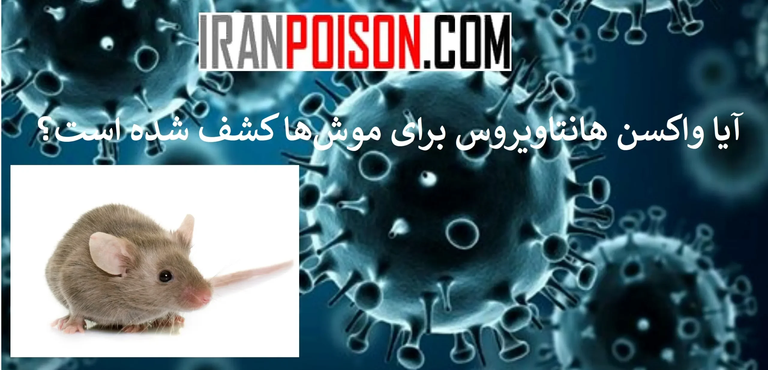 آیا روزی واکسن موشها ساخته میشود؟- ایران سم
