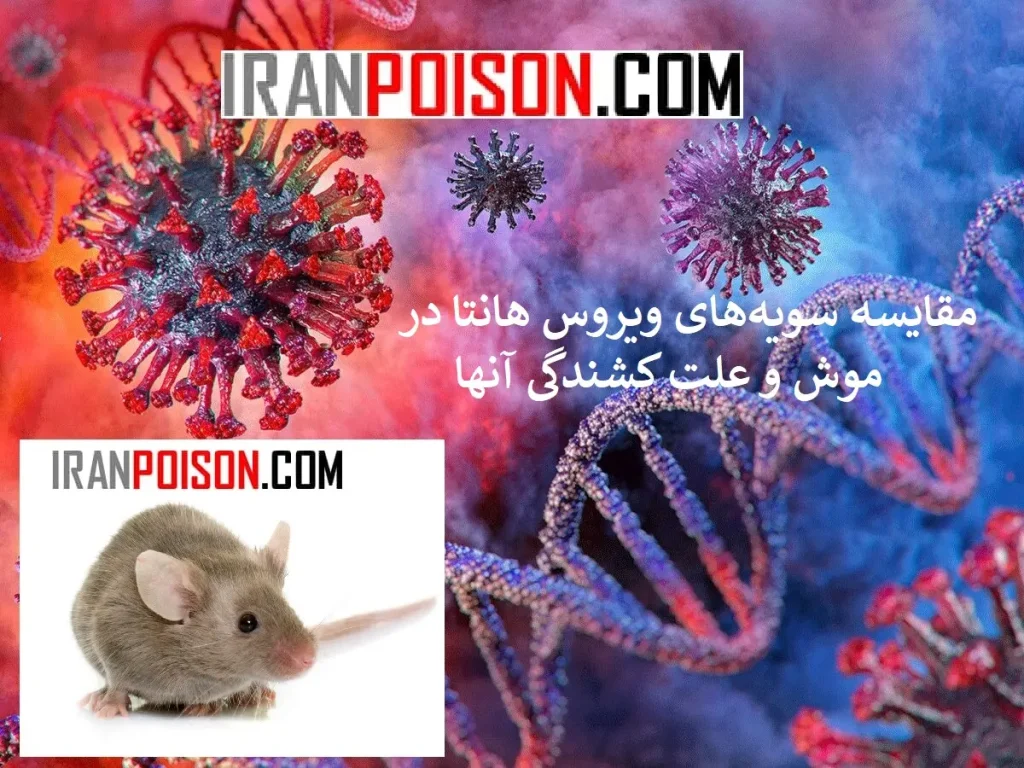 سویه‌های ویروس موش هانتا-ایران سم