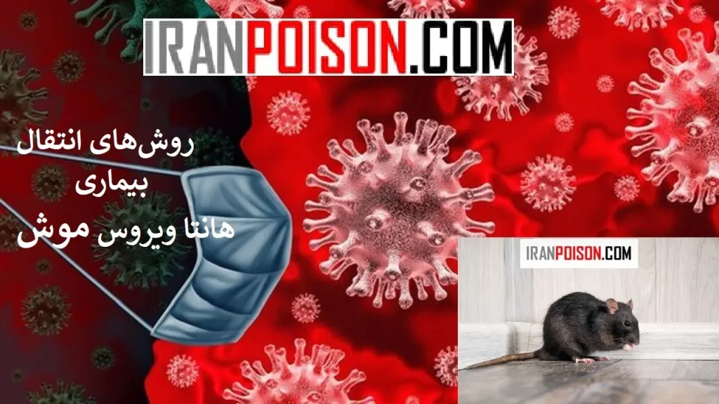 نقش جوندگان در چرخه انتقال ویروس هانتا موش- ایران سم