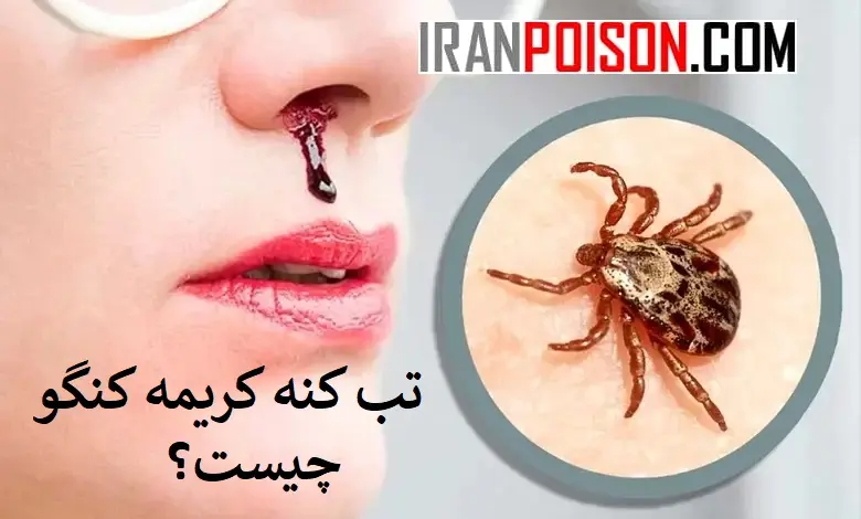 تب کنه کریمه کنگو چیست؟
