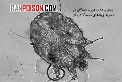 نابودی حشره گال با سم عالی مکس فورس|