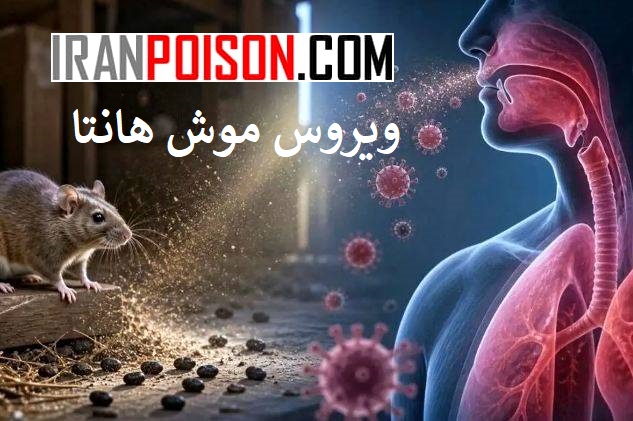 ماهیت بیماری هانتا ویروس موش و منشأ آن از دید سازمان جهانی بهداشت (WHO)-ایران سم