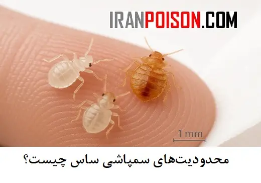 آیا تخمهای ساس معمولاً در برابر سم مقاومترند؟- ایران سم