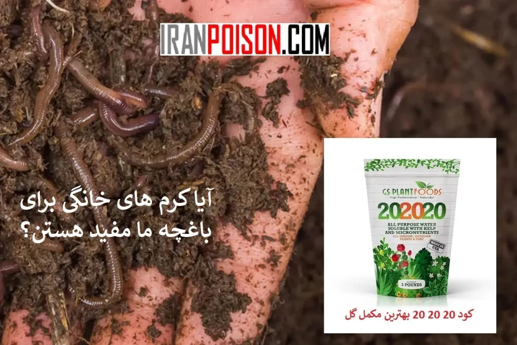آیا همه کرم خاکی ها فواید دارند؟- ایران سم