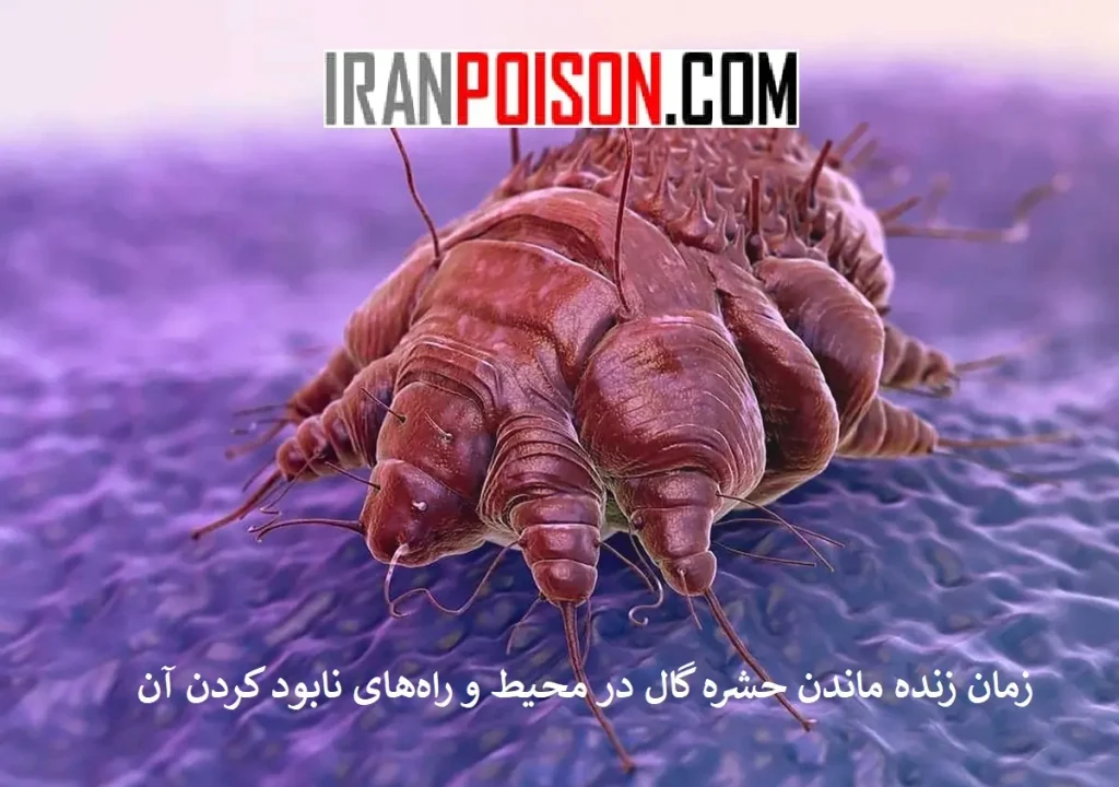 راه‌های نابود کردن حشره گال- ایران سم