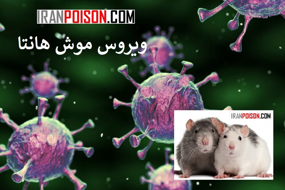 گزارش مراکز بهداشتی کشورها از ویروس هانتا موش- ایران سم
