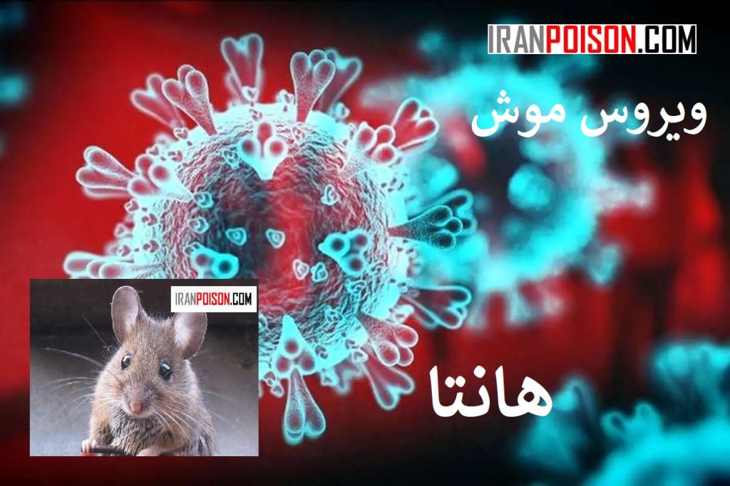 ارزیابی سازمان جهانی بهداشت در مورد خطر جهانی هانتا ویروس موش- ایران سم
