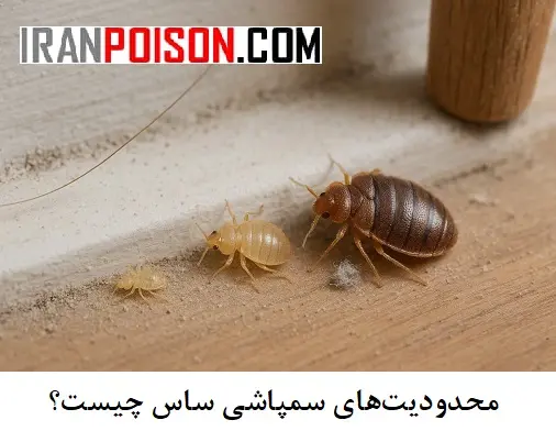 ساس چرا به سختی از بین میرود؟- ایران سم