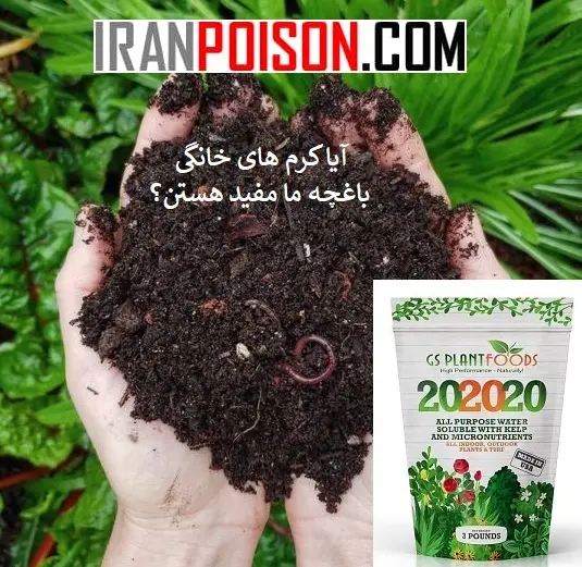 آیا کرم های خانگی برای باغچه ما مفید هستن؟