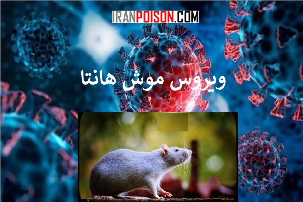 بهترین سم موش آلمانی- ایران سم