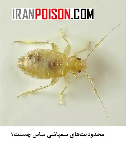 سمپاشی فقط ساسهای در معرض تماس را از بین میبرد- ایران سم