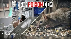آیا واکسن هانتاویروس برای موشها کشف شده است؟