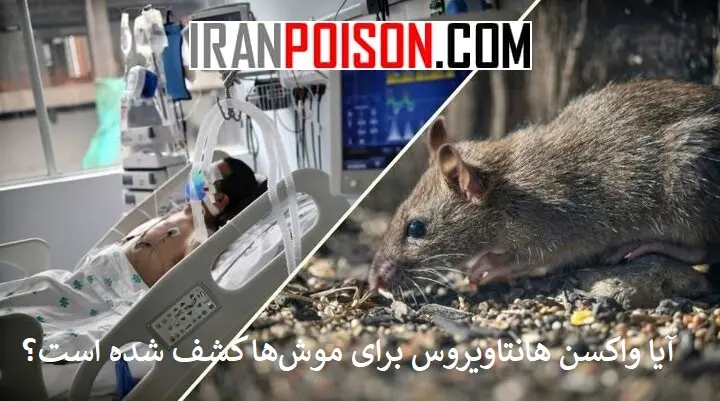 آیا واکسن هانتاویروس برای موشها کشف شده است؟