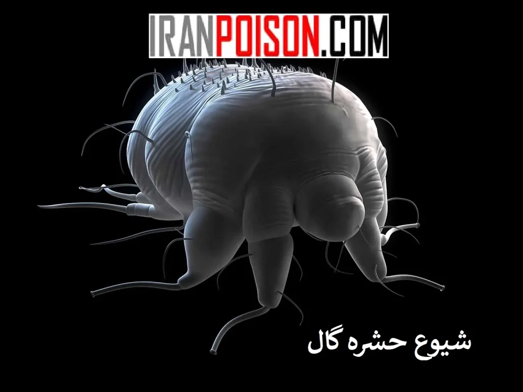تشخیص و درمان بیماری گال- ایران سم