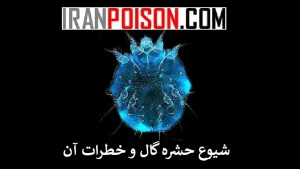 بررسی شیوع حشره گال و عوامل خطر و الگوی انتقال در جوامع متخلف