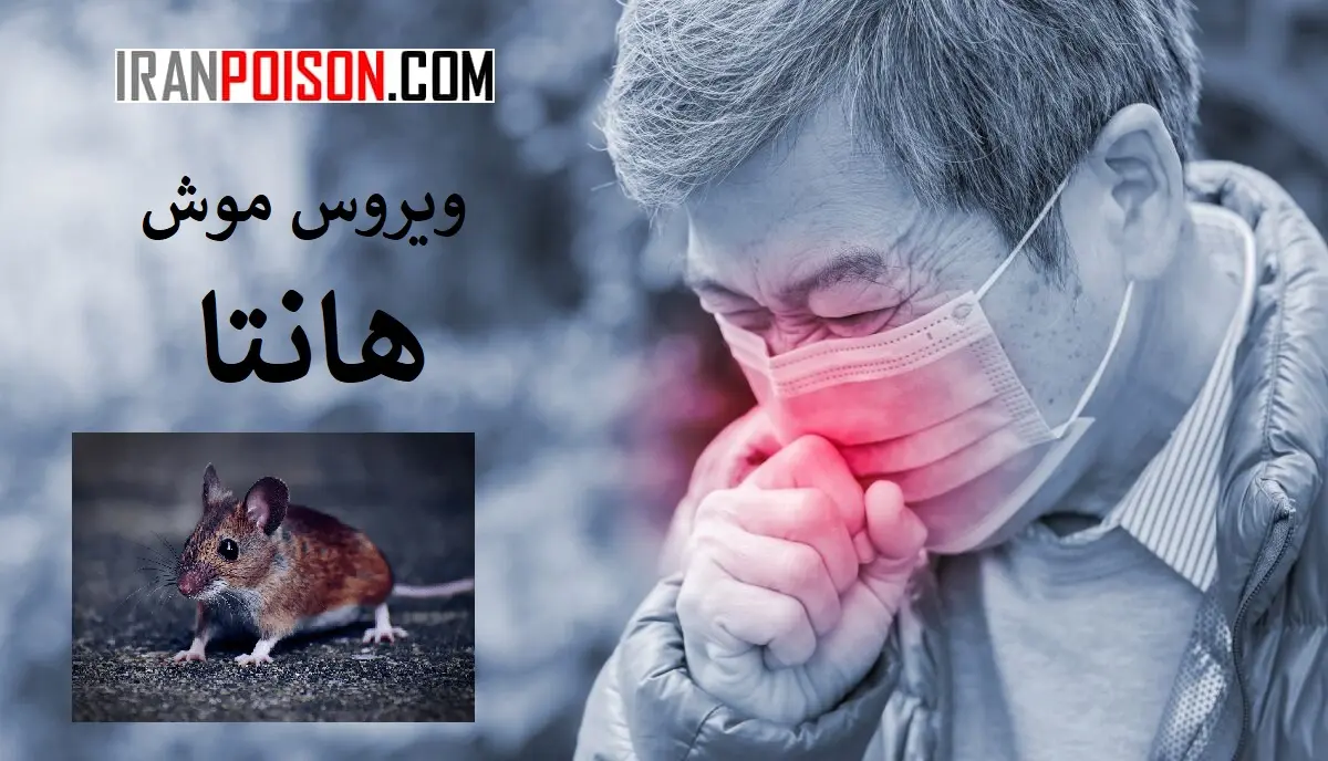 گزارشاتی از کشورهایی که بیماری جدید هانتا ویروس موش دیده شده است