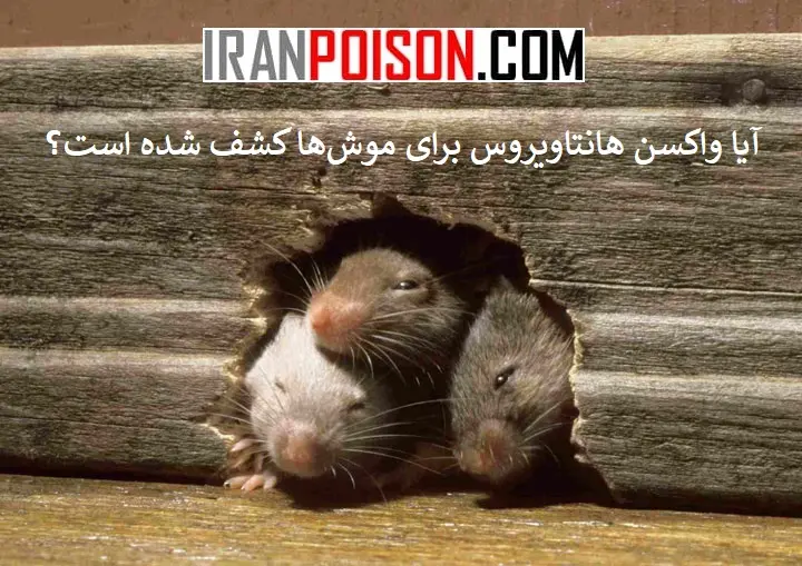 چالش جمعیت و مکان موش- ایران سم
