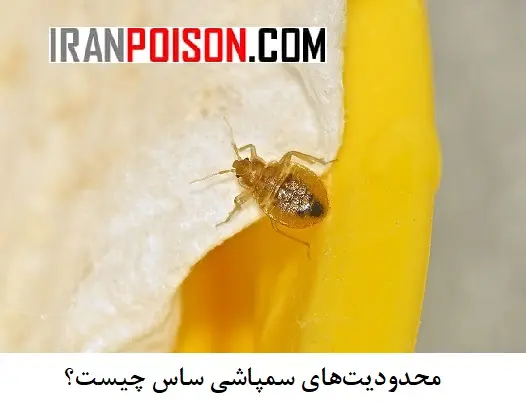بعضی سمها برای انسان و حیوانات خانگی محدودیت دارند- ایران سم