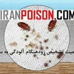 اهمیت تشخیص زودهنگام آلودگی به ساس