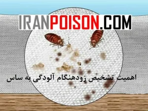 اهمیت تشخیص زودهنگام آلودگی به ساس