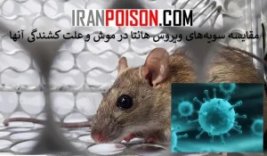 مقایسه سویههای ویروس هانتا در موش و علت کشندگی آنها