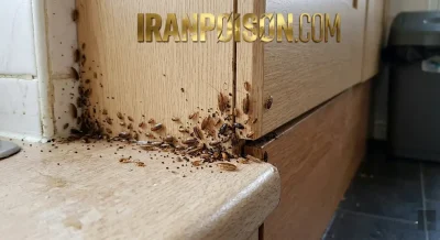 بهترین سم سوسک آکواپای