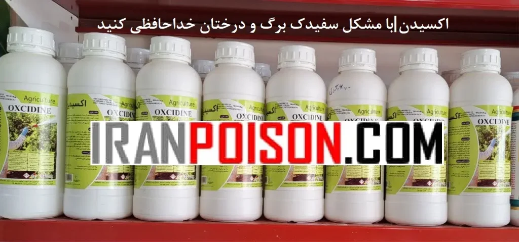 سفیدک سطحی انگور