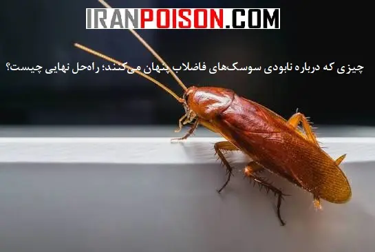 چیزی که شرکتهای سمپاشی و عطاریها بهت نمیگن!