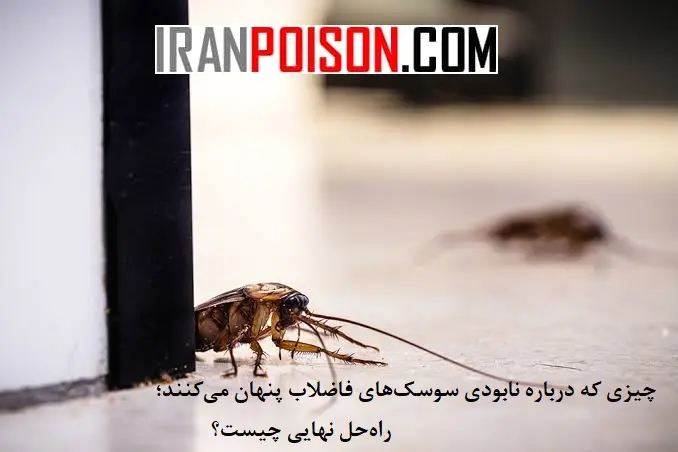 چطور از ریونج استفاده کنیم تا بهترین نتیجه رو بگیریم؟