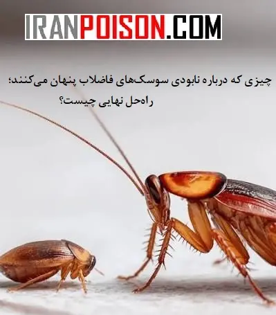 سموم مخصوص سوسک