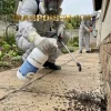 سمپاشی با انت کلیر سمپاشی با انت کلیر