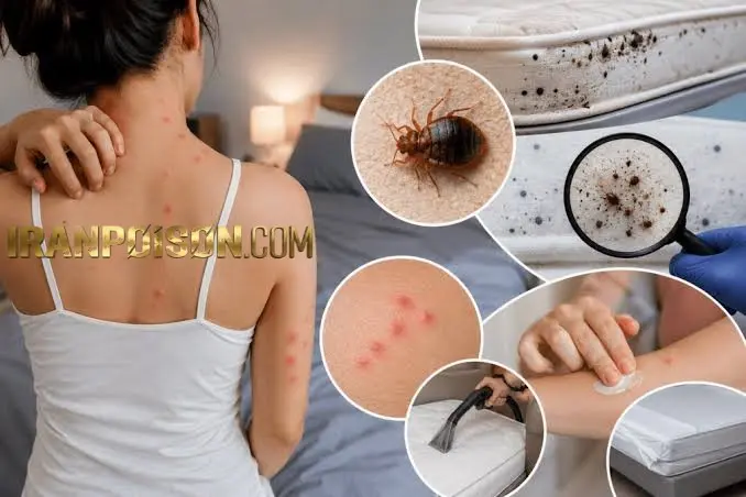 نابود کردن ساس با بهترین سم