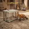 عرفی محصول تله فنری روباه