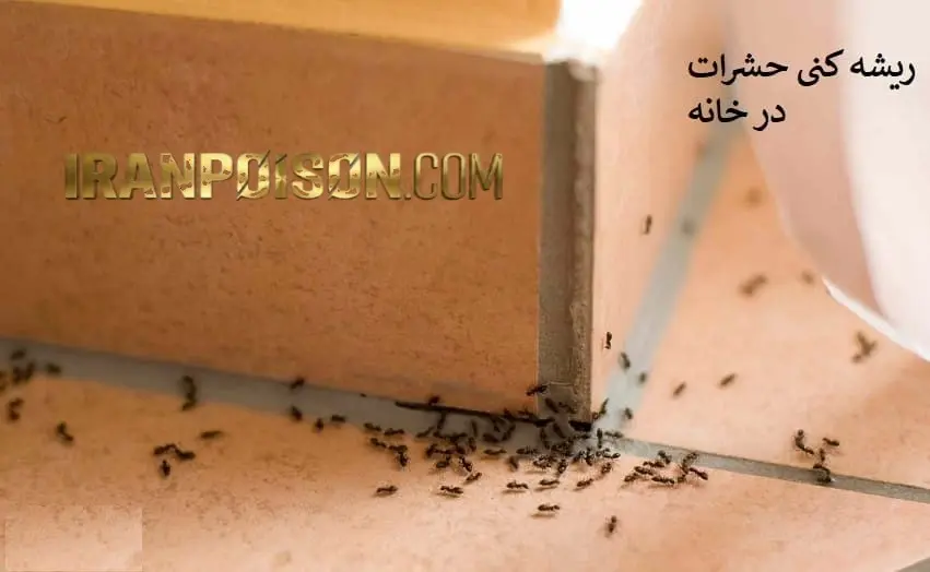 مزیت اصلی سم مورچه کش آکواپای