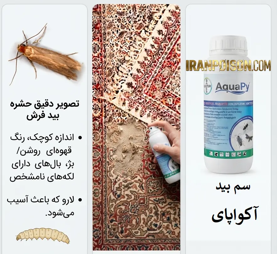 سم کشنده بید آکواپای