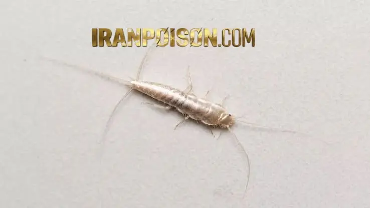 محل‌های قابل استفاده از سم آکواپای